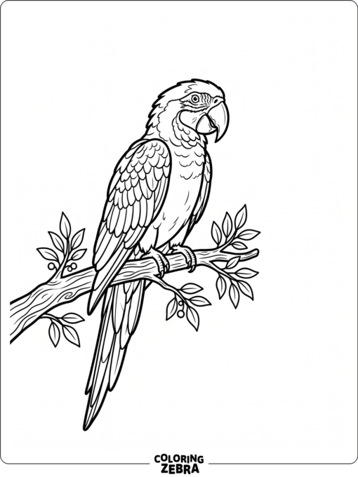 A parrot perched on a branch with open space