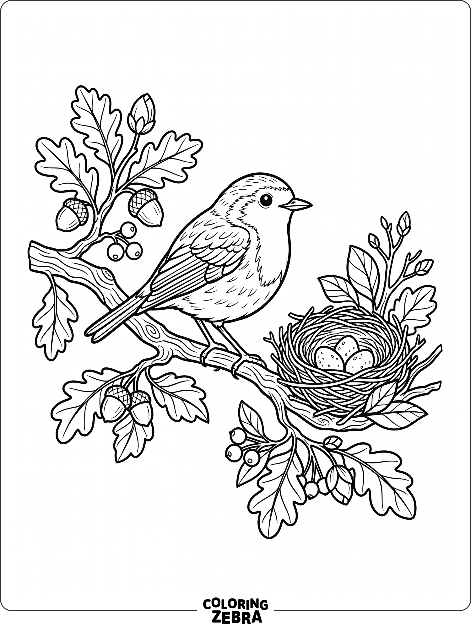41 Free Bird Coloring Pages - Printable PDF Sheets