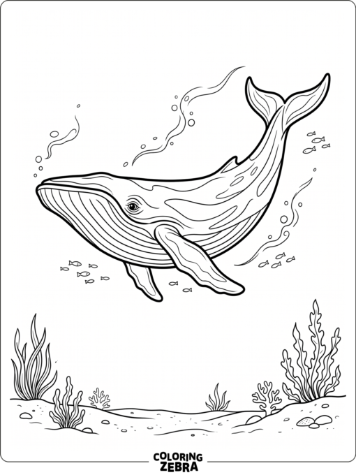 A blue whale swimming in a simple ocean scene