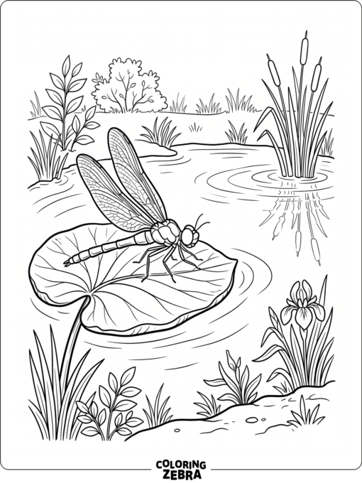 A dragonfly resting on a leaf near water