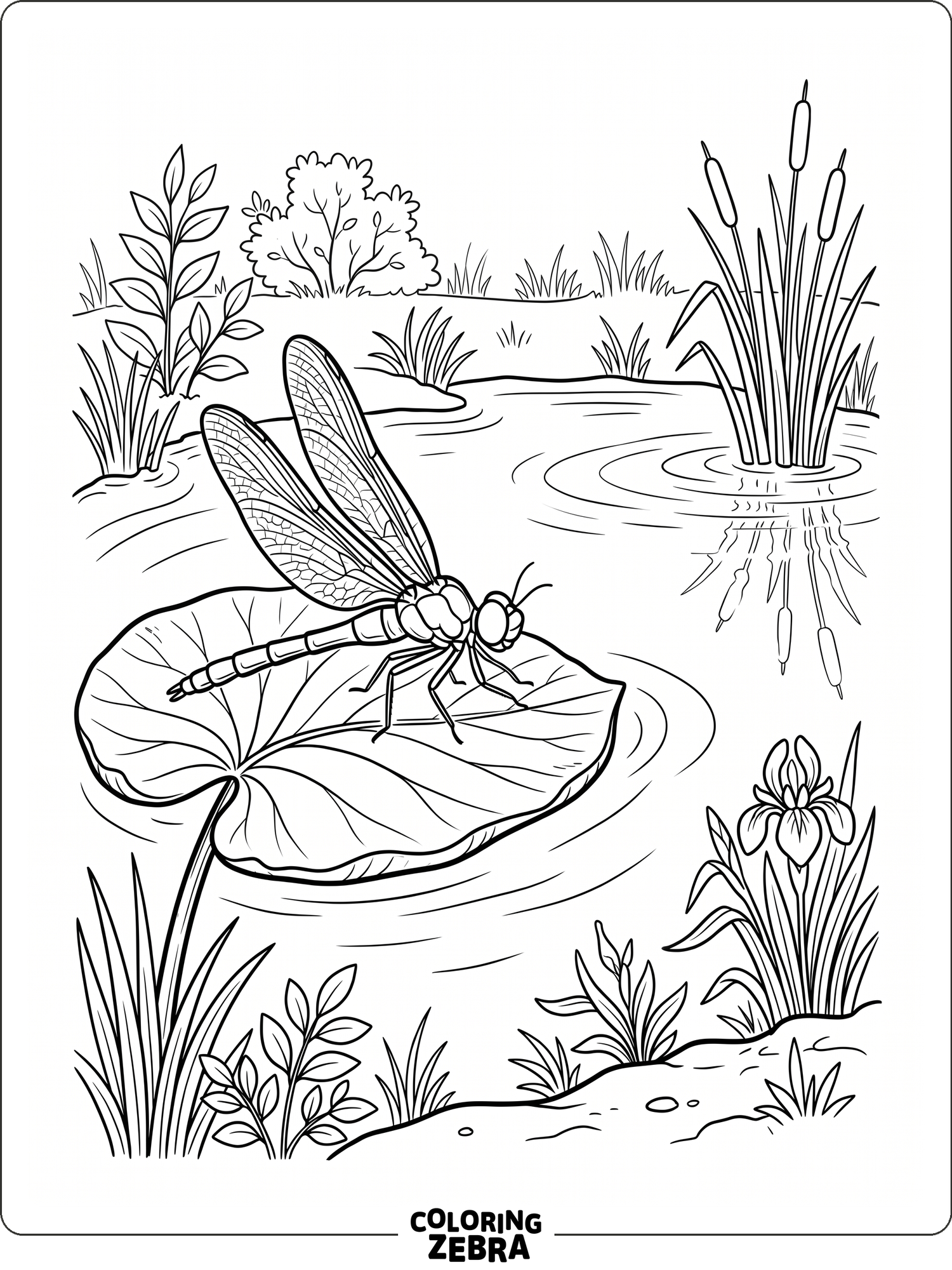 A dragonfly resting on a leaf near water