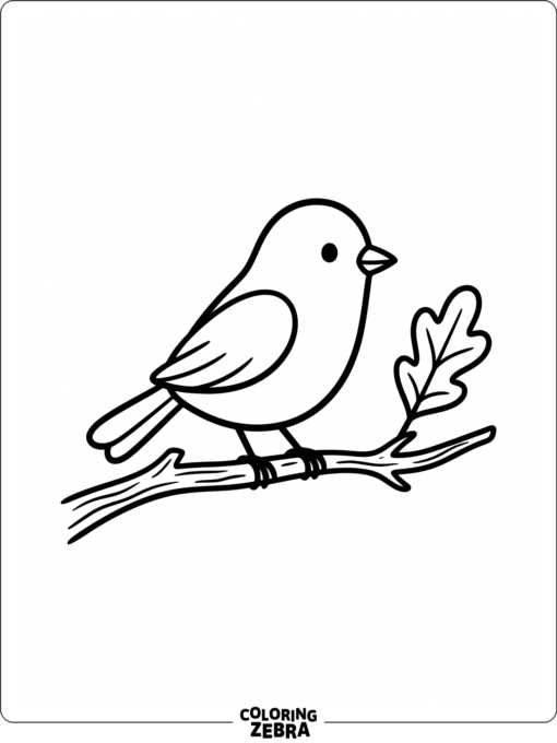 A simple bird on a branch with one leaf