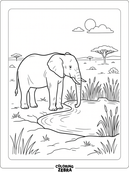 An elephant beside a watering hole