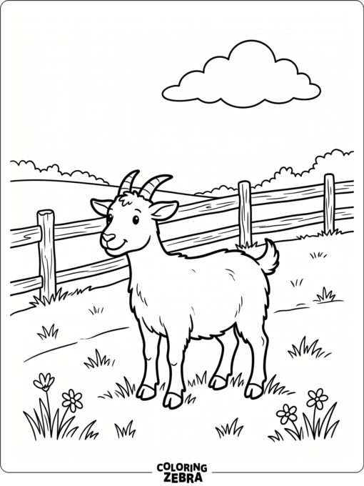 A single goat in a simple field