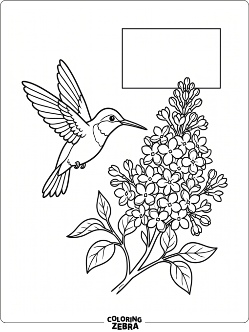 A hummingbird near flowers with a clean background