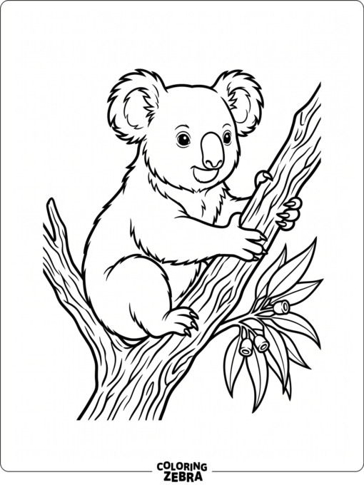 A koala sitting on a branch