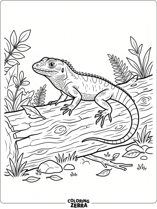 A lizard on a log with open space around it