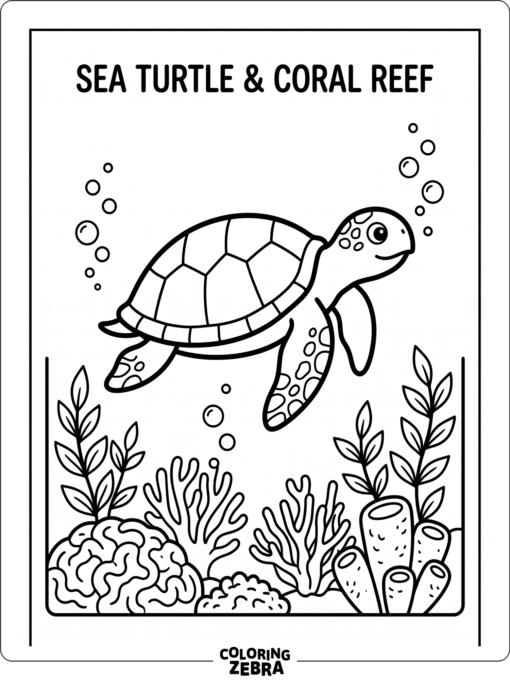 A sea turtle with coral and bubbles