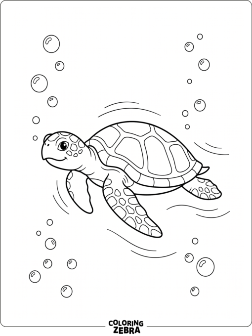 A sea turtle swimming in open water