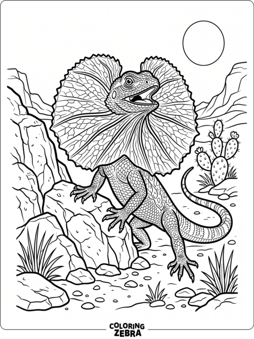 A frilled lizard showing its neck frill