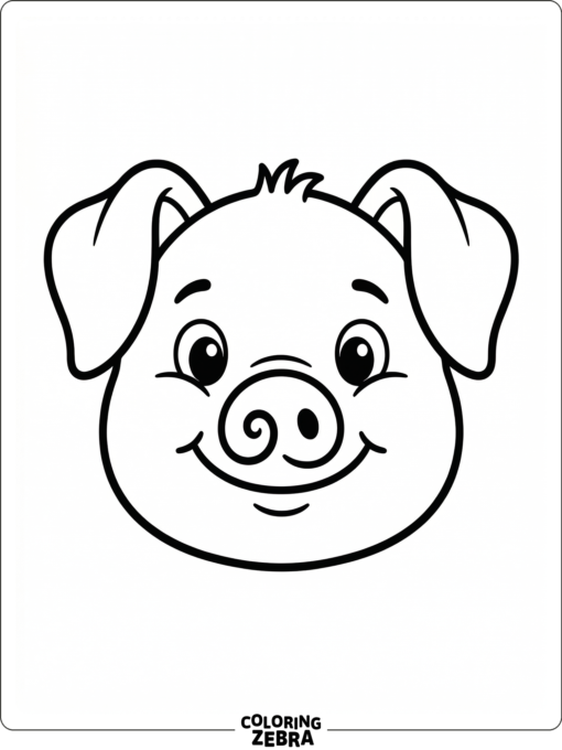 A front view of a pig head with floppy ears