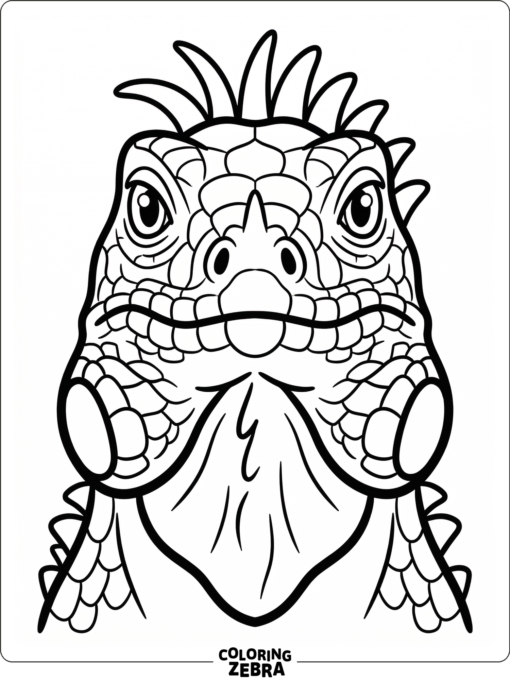 A front view iguana head with spines and a strong jawline
