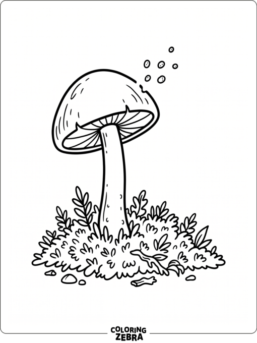 A simple fungus growing from moss