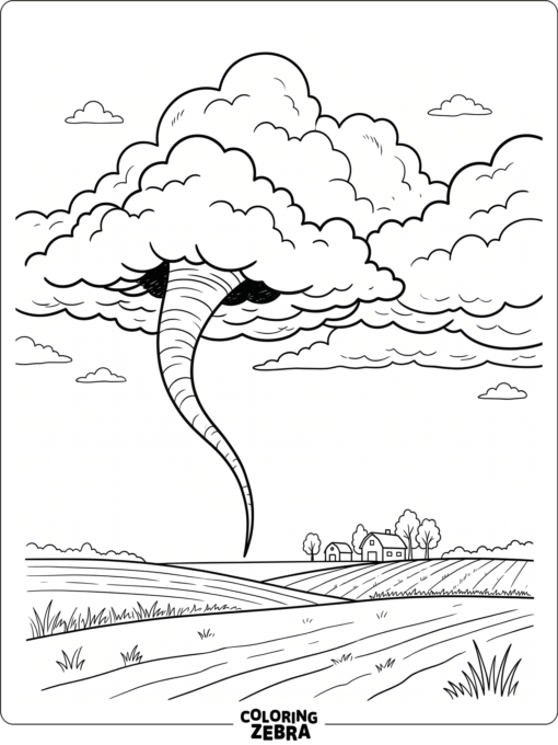 A narrow funnel cloud hanging over a field
