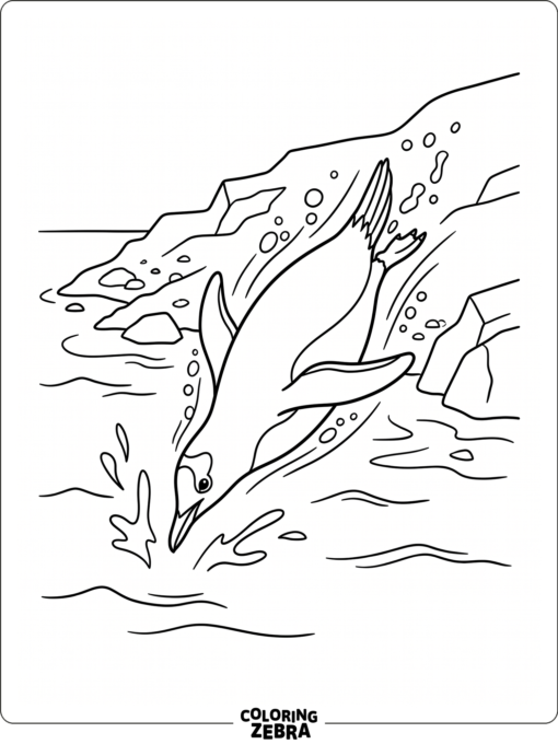 A gentoo penguin diving into water