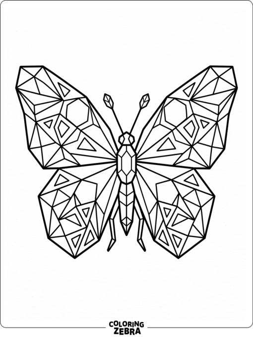 A butterfly with geometric wing panels