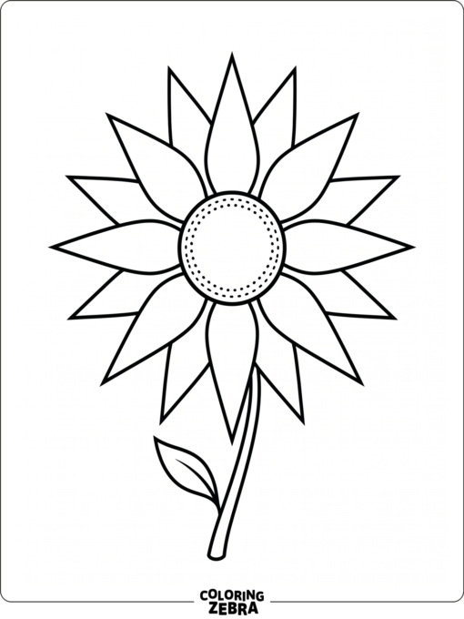 Una flor con pétalos afilados y un centro redondo