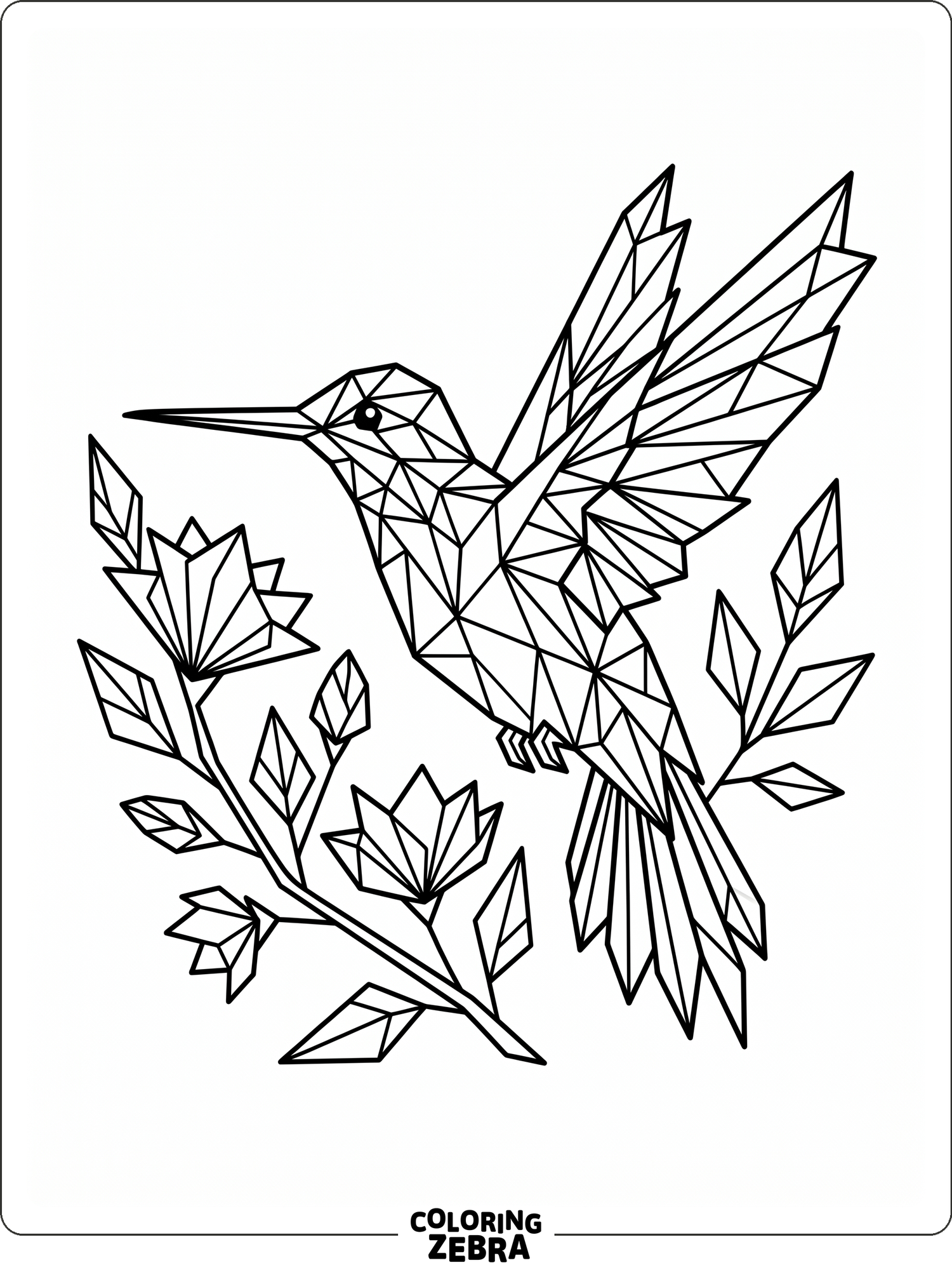 32 Free Hummingbird Coloring Pages - Printable PDF Sheets