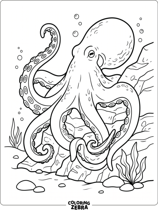 A giant octopus resting on rocks under the sea