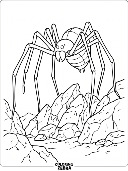 A giant spider looming over rocks