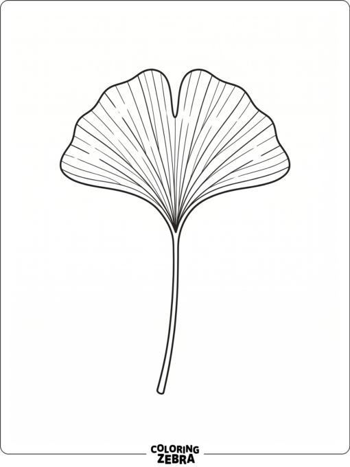 A fan-shaped ginkgo leaf with a long stem