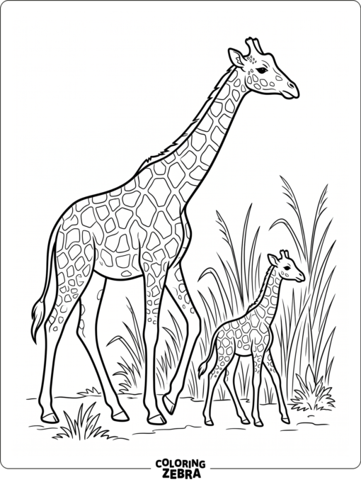 A giraffe walking with a baby by tall grass