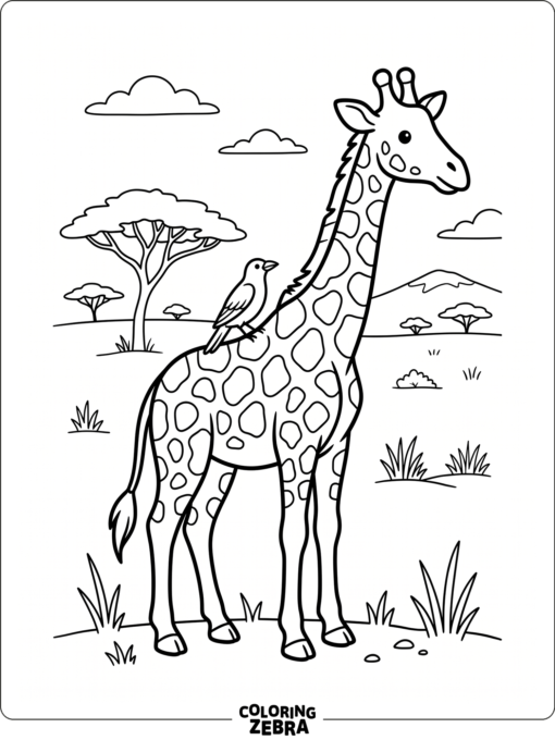 A giraffe with an oxpecker bird on its back