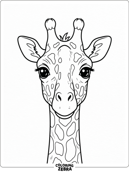 A giraffe face with large eyes and small ears