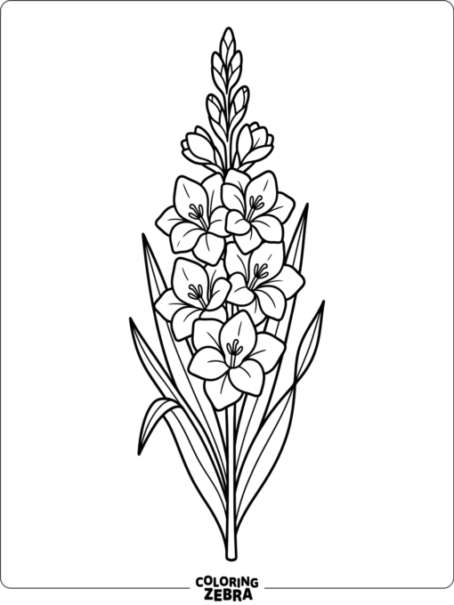 A gladiolus flower stem with tall blossoms and leaves