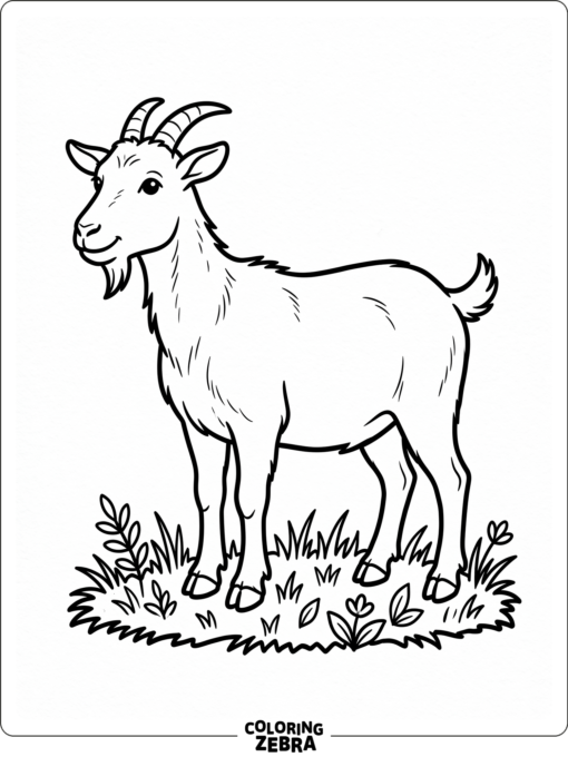 A simple goat standing in grass with clean outlines