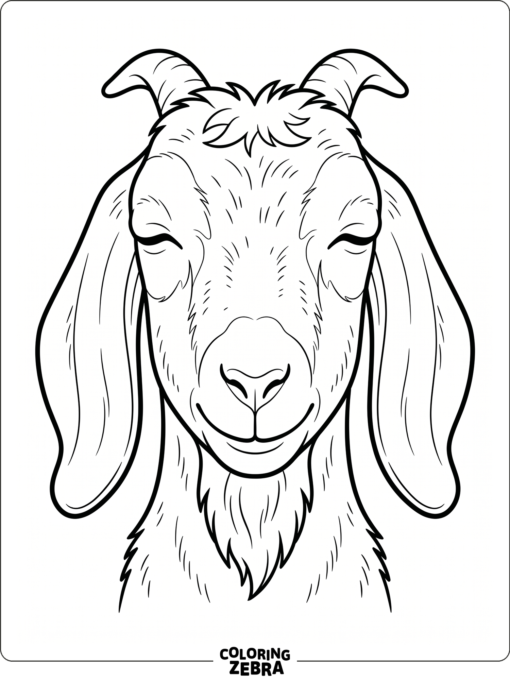 A goat face close-up with floppy ears