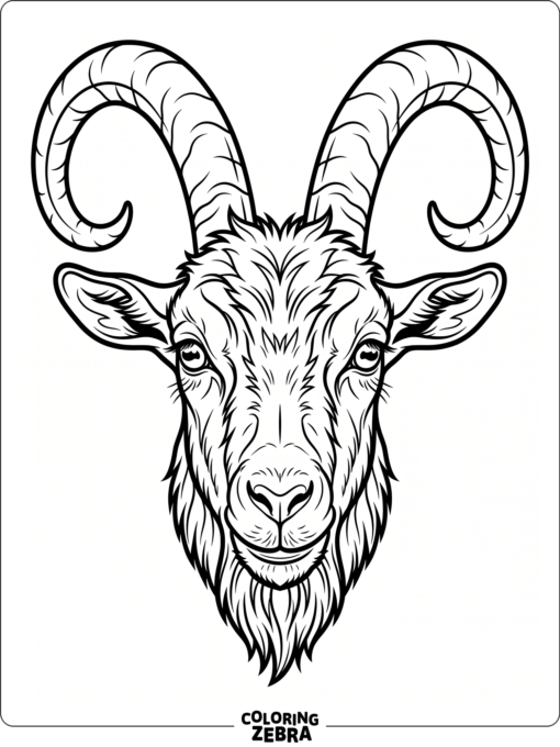 A goat head with curved horns facing forward