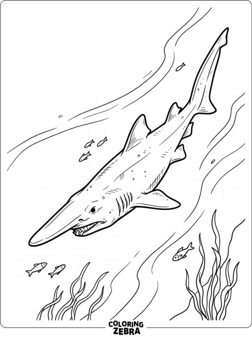 A goblin shark with a long snout in open water