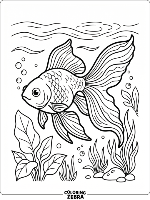 A goldfish with long flowing fins