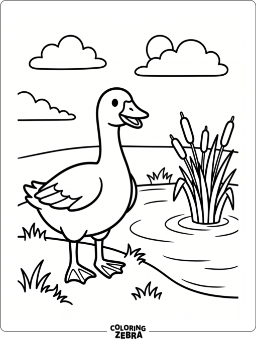 A goose by the water with reeds and plenty of open space