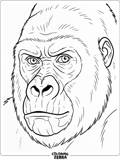 A gorilla face with bold features and simple fur lines