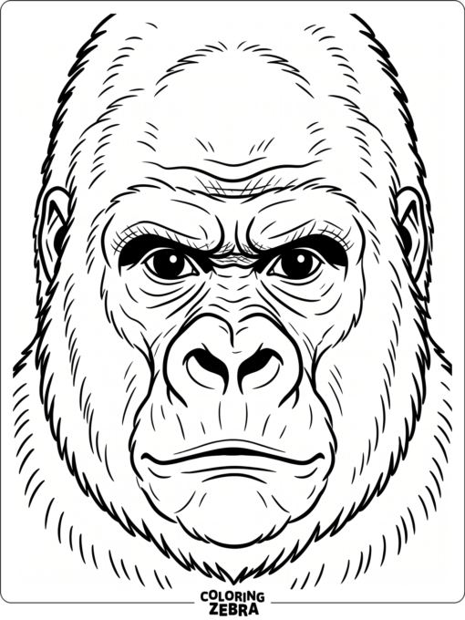 A close-up gorilla face with bold features
