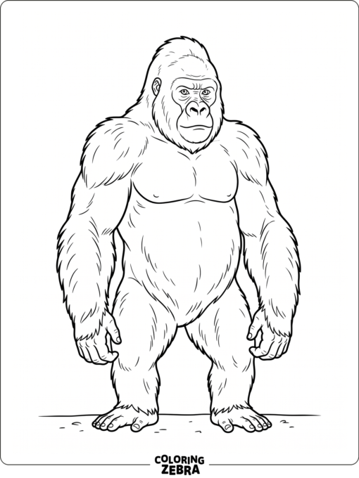 A full body gorilla standing with relaxed arms
