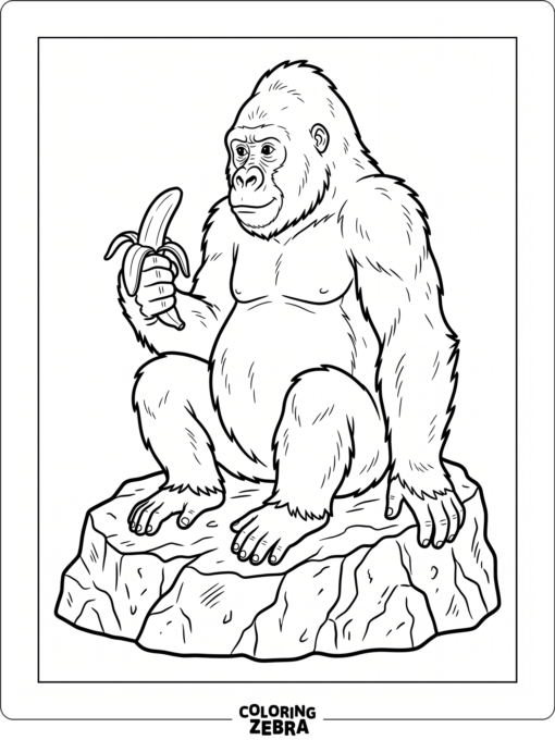 A gorilla holding a banana while sitting on a rock