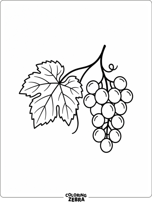 A grape leaf with a bunch of grapes