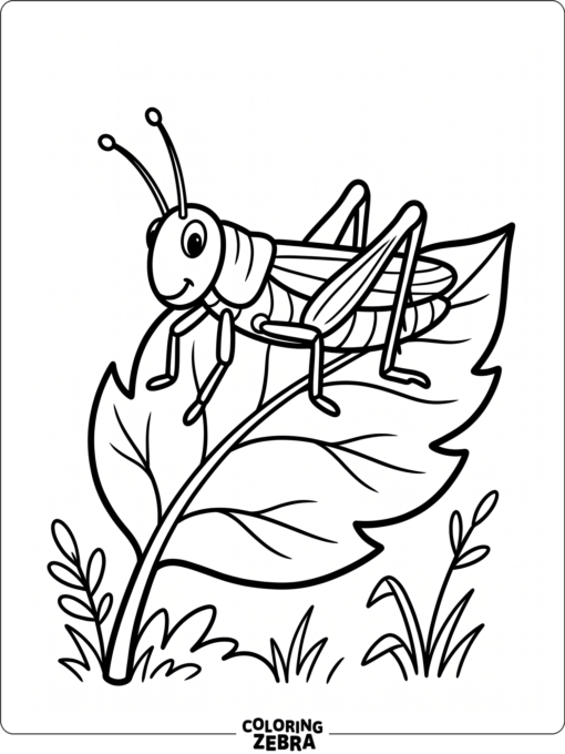 A grasshopper resting on a leaf with clean lines and simple shapes