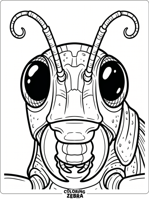 A grasshopper face with large eyes and antennae