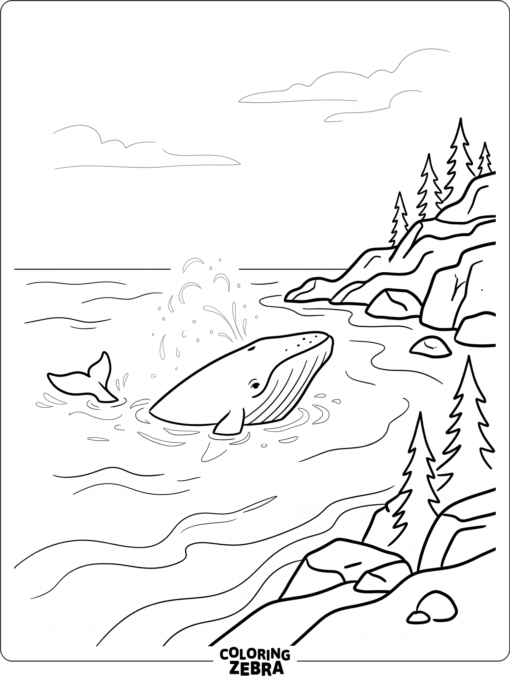 A gray whale near rocks and misty water