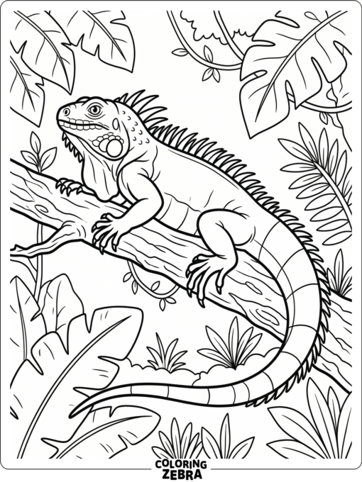 A green iguana basking on a branch with a broad tail