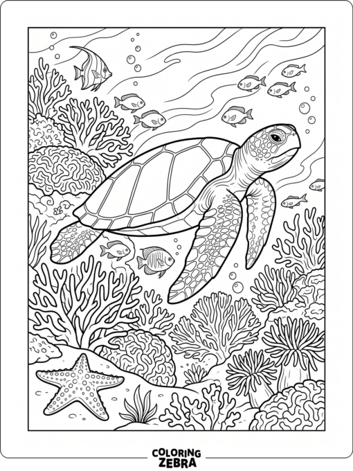 A green sea turtle gliding near coral and a starfish