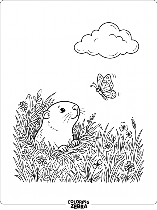 Groundhog peeking from grass for kids