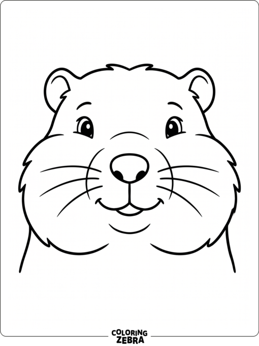 Groundhog face with round cheeks and whiskers