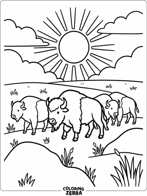 A group of buffalo walking across open prairie