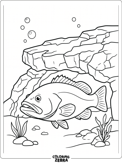 A grouper fish resting under a rocky ledge