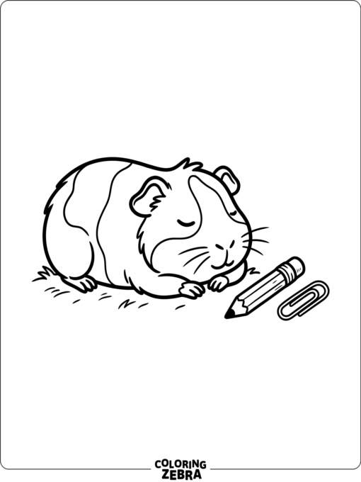 A guinea pig resting beside a pencil and paper clip